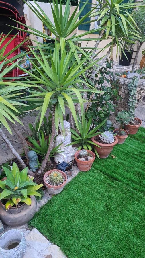 Site Paradis Rue Colibri Avignon Exterior photo